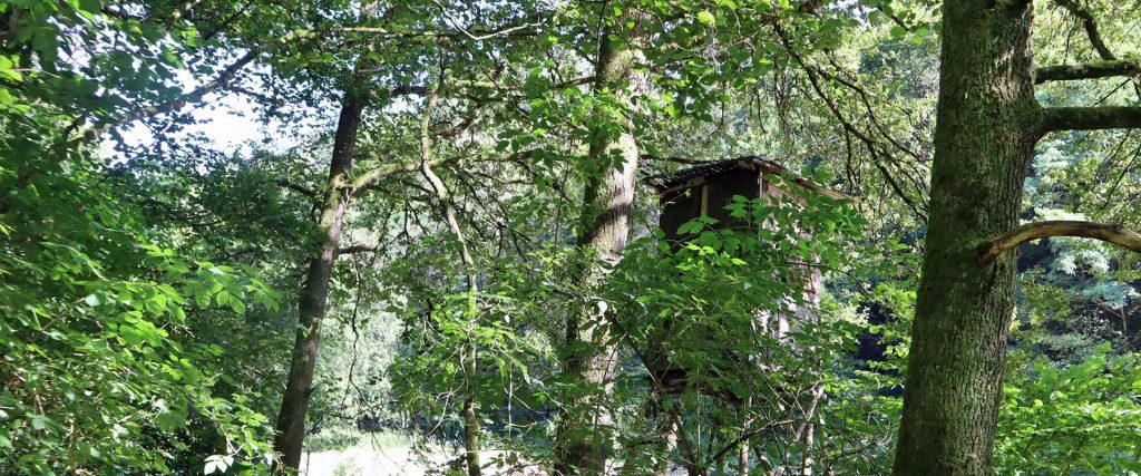 Ein Hochsitz in einem Wald.