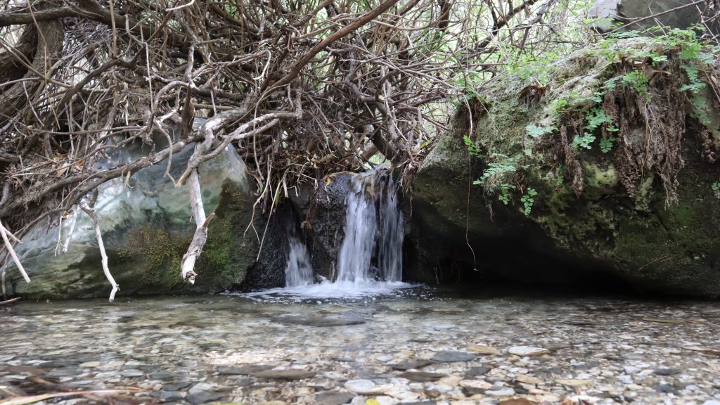Eine natürliche Quelle entspringt einem Bach.